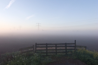 gisterenmorgen op de fiets, door de polder,naar mijn werk. ik heb altijd mijn Ricoh compact in de tas zitten.