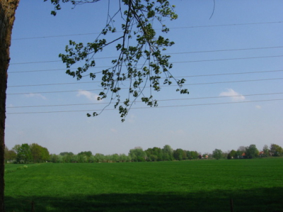 Deze foto vrijdag j.l. gemaakt tijdens fiets tocht tussen vroomshoop en Daarlerveen. Het was een mooie zonnige dag maar wel veel wind.