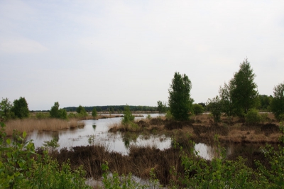 Vanmiddag even met de hond naar Fochtelo�rveen,
en daar deze foto gemaakt.