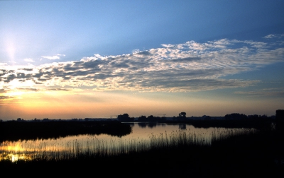 <i class='fa fa-user'></i> Roel Meijer | Zonsopkomst in de Biesbosch  <i class='fa fa-eye'> 458</i>   <i class='fa fa-comment-o'> 1</i>