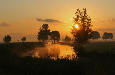 hier ben ik dan weer  , vandaag er om kwart voor vijf uit bed . om  grutto,s in tegenlicht op de foto te zetten . grutto,s heb ik de hele dag niet gezien , maar kon wel weer wat schieten voor nederpix  . foto wat donkerder gehouden zodat `de kleuren er wat meer uitspringen