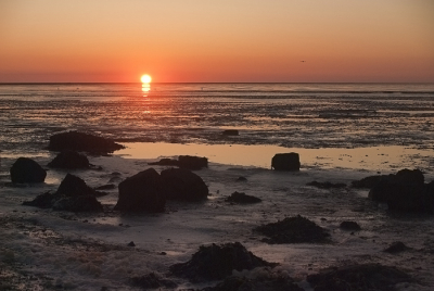 Het was 05.26u. in de ochtend, nog erg koud, maar een prachtige zonsopgang daar aan de waddenzee.
Ook nog mazzel dat het eb was.