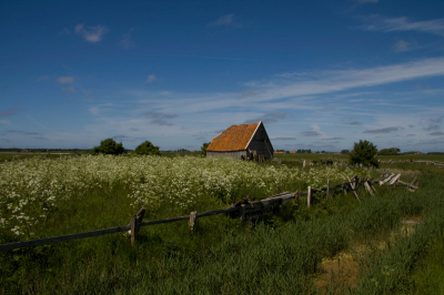 het is al weer ruim een maand geleden dat ik op Texel ben geweest.
ik had deze foto nog in mijn album staan. dit is nou echt een plaatje wat je in texel vaak ziet.
