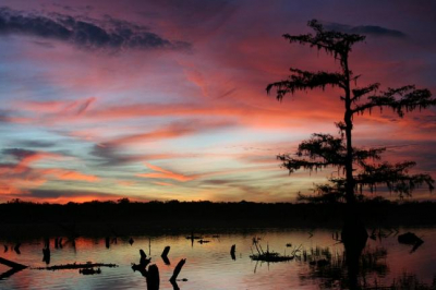 Het spijt me dat mijn eerste foto niet een Nederlands landschapje is, en ook nog eens een zonsondergang maar het is even niet anders. Ik was op reportage voor wat kranten, hier samen met een bioloog in de swamp tussen alligators. Plotseling verscheen dit Bob Ross-achtige tafereel voor de lens. Zelden zo'n mooie lucht gezien: 'gods own firework zoals mijn gids, een echte Cajunboer het noemde.