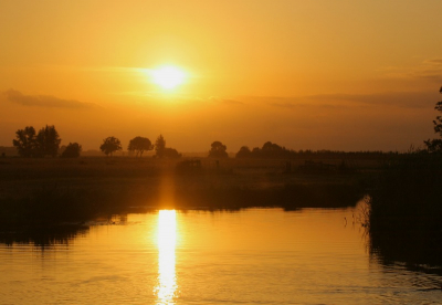 hier de tweede foto , hier ook heel ander licht dan vorige week
