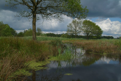 tijdens een werkbezoek aan dit ven. even wat foto's gemaakt. geprobeerd de weerspiegeling en de donkere luchten vast te leggen.