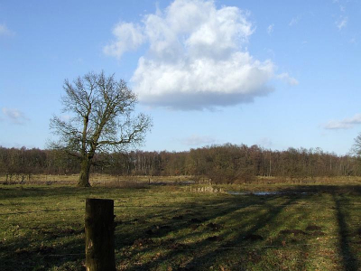 <i class='fa fa-user'></i> Art | Twents landschap  <i class='fa fa-eye'> 221</i>   <i class='fa fa-comment-o'> 6</i>