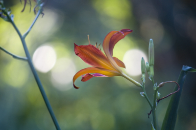 Ik heb door het opspattend water van een fontijntje heen gefotografeerd. midden op de dag.