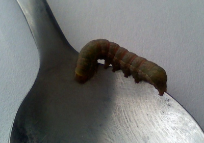 Met een mobiele telefoon, thuis gemaakt, verder geen omstandigheden