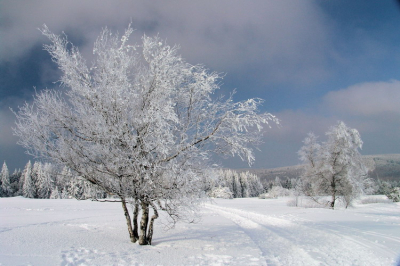 <i class='fa fa-user'></i> Jaap Baas | Willingen in de sneeuw  <i class='fa fa-eye'> 389</i>   <i class='fa fa-comment-o'> 4</i>