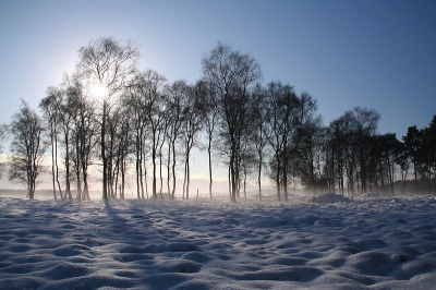 De zomer is nog niet helemaal voorbij maar voor we het weten is het weer winter. Vorige winter heb in enkele dagen in de Hoge Veluwe doorgebracht. Het was toen prachtig winterweer met veel sneeuw. De wandeling waren super mooi. Hopelijk brengt komende winter ons evenveel sneeuwplezier. Ik kijk er in elk geval al naar uit !