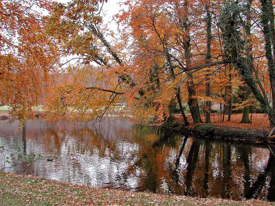 <i class='fa fa-user'></i> Bas de Bruijn | herfst in het park  <i class='fa fa-eye'> 371</i>   <i class='fa fa-comment-o'> 2</i>