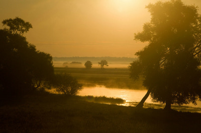 Na wat opnamen boven de mistbanken gemaakt te hebben ging  ik al weer verder om te proberen vogels te fotograferen.Ineens kwam ik langs een plek waar de zon in de rivier spiegelde. Pal tegen de zon in fotograferen is niet eenvoudig en de zon stond al behoorlijk hoog. Door het felste licht weg te laten vallen achter de bomen kon toch dit  beeld gemaakt worden. Wat me vooral aanspreekt is de bijna monochrome kleurstelling die ontstaat door het sterke tegenlicht.