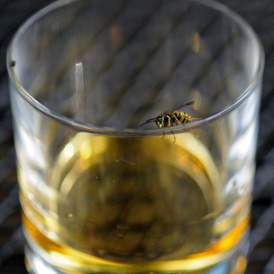 Zondagmiddag. Na een lekker rondje biken tijd voor een whisky. Ik wilde net een slok nemen, toen Gelukkig dat ik altijd eerst kijk voordat ik een slok neem.