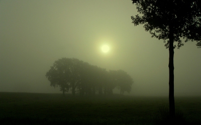 Nog een foto , welke het vroege opstaan op de bewuste zondag lonend hebben gemaakt , wat een sfeer , hier hou ik van , heerlijk , ik hoop dat de foto het gevoel wat ik daar had over brengt op jullie