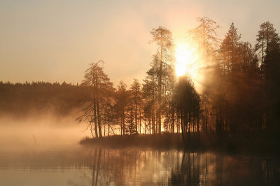 Vorige week naar Finland geweest, Wild Brown Bear logde nabij Vartius. Na een avond en nacht in de schuilhut zonder succes zag ik bij de lodge de zon opkomen achter de bomen aan het meertje.