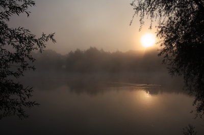 In de morgen naar het water gereden om de mistige sfeer met de daarin opkomende zon vast te leggen. Het was prachtig om te zien, alleen verdween de mist erg snel nadat de zon erdoor kwam.