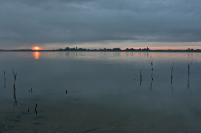 Een tijdje geleden een kleine serie gemaakt van het "licht worden"
Dit is de 2e die ik nu plaats. Op de eerste niet veel commentaar, waarschijnlijk mede door de drukke voorgrond.