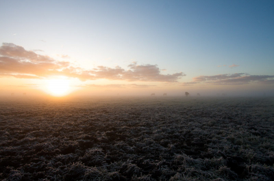 na mij eerder geplaatste foto het land opgegaan. het was 'koud' met de vorst op de grond. 8.18