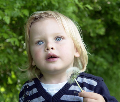 Origineel die ik later heb bewerkt in PS als High-key foto

(Mick was van de zomer helemaal in de ban van blaasbloemen :-) geloof dat we hier zo,n beetje allegemeente tuintjes in katwijk hebben leeggeblaasd)