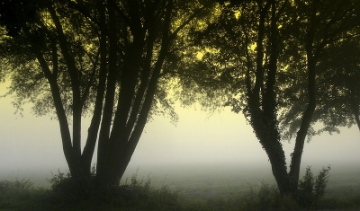 Zaterdag avond wordt er mist voorspeld , dus zondag morgen maar beetje op tijd op voor wat sfeerfoto's , waarvan dit er een is .