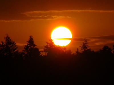 Na een dag in het bos te hebben gezworven en op weg naar huis zag ik dit mooie plaatje, waar gewoon een foto van gemaakt moest worden. Ik vind dat dunne sliertje wolk voor de zon wel iets hebben.