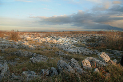 <i class='fa fa-user'></i> Rudi Debruyne | Iers Landschap "The Burren"  <i class='fa fa-eye'> 171</i>   <i class='fa fa-comment-o'> 5</i>