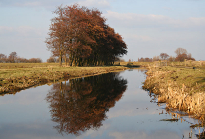 <i class='fa fa-user'></i> ferrystreng | Spiegeling van bomen rij  <i class='fa fa-eye'> 142</i>   <i class='fa fa-comment-o'> 1</i>