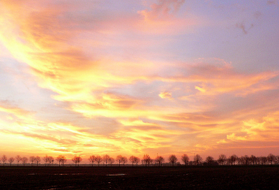 <i class='fa fa-user'></i> johan borsch | Ochtend in de polder  <i class='fa fa-eye'> 117</i>   <i class='fa fa-comment-o'> 2</i>