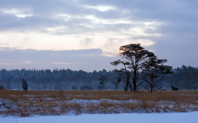 Ik had hier al eens eerder een foto van gemaakt en was vast van plan om dat met sneeuw nog eens te doen.
Met het opkomen van de zon was het erg mooi.