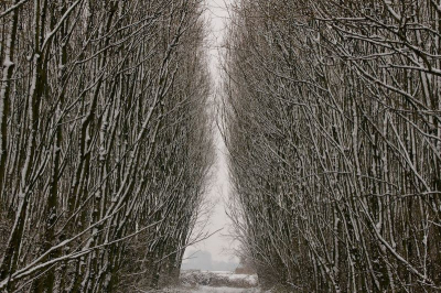 Al wandelend in de sneeuw, trof ik dit doorkijkje aan.
Het deed enigzins wat sinister aan, zal ook wel met de naam van dit gebied te maken hebben.