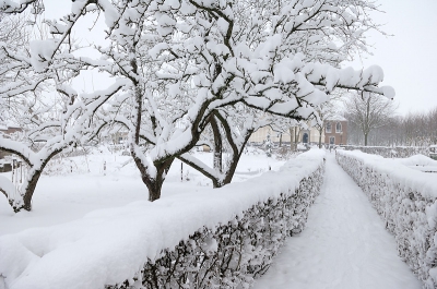 Sneeuw, veel sneeuw, heel veel sneeuw, heel erg veel sneeuw, ontzettend veel sneeuw in Frysln