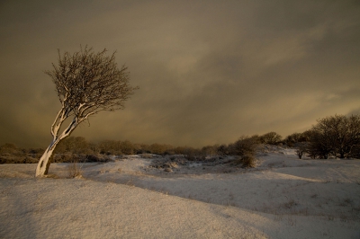  / Winterlandschap na de sneeuwbui / -