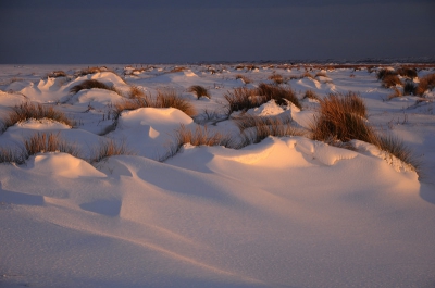 Na een dag lang sneeuwhappen op het Oosterstrand brak in de middag de zon door het wolkendek en kleurde de duintjes bij paal 5 mooi oranje.
