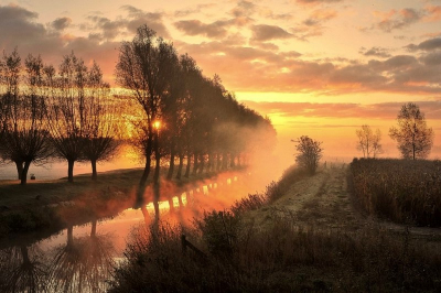 Deze morgen was er wat laaghangende nevel . Opeens werden de nevelslierten,enkele minuten,roodgekleurd door de opkomende zon.