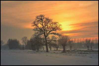 In de valavond was er in onze streek een waterzon die de hemel deed roodkleuren.Ik was op weg naar huis na sneeuwlandschappen gemaakt te hebben toen ik die boom zag.Vond het mooi om hier een foto te maken,enkele minuten later was de zon achter de wolken gezakt en werd het schemerig.Ik heb wat geluk gehad vind ik.