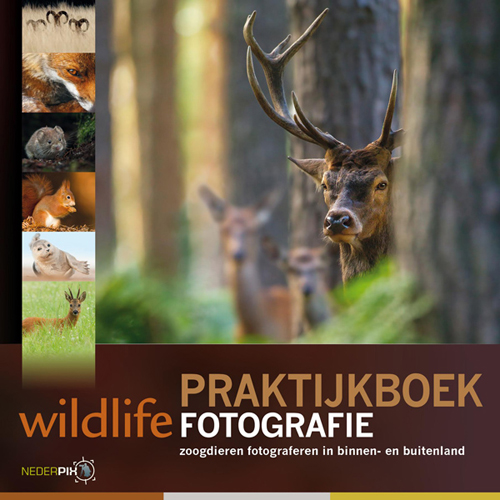 Praktijkboek Wildlifefotografie